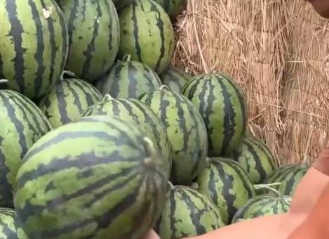 广科师吃瓜 第3张 广科师吃瓜 第3张