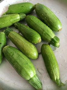 吃的小瓜,探寻夏日清新口感