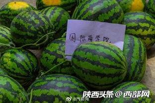 吃瓜要吃前排,尽享娱乐圈风云变幻 第2张 吃瓜要吃前排,尽享娱乐圈风云变幻 第2张