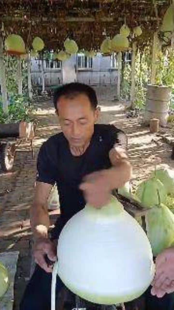 刚哥吃瓜  第3张