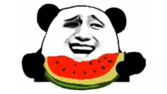 吃瓜群众宠物模板,揭秘萌宠圈的热门话题与趣味瞬间 第3张 吃瓜群众宠物模板,揭秘萌宠圈的热门话题与趣味瞬间 第3张