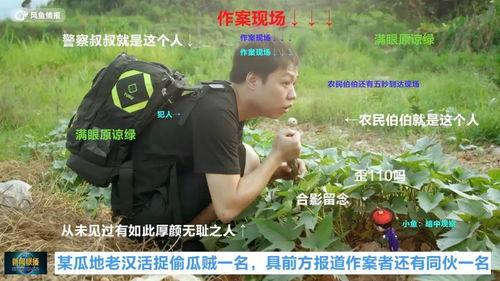 假装吃瓜爆料人,假装吃瓜,揭秘明星真实人生 第2张 假装吃瓜爆料人,假装吃瓜,揭秘明星真实人生 第2张