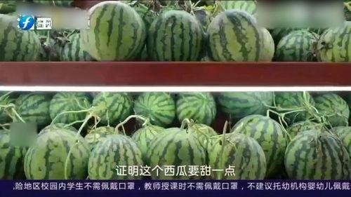 聪慧吃瓜,揭秘娱乐圈背后的真相与笑料  第3张