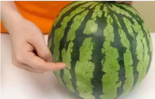 教大家吃瓜,教你轻松解锁娱乐圈新鲜事