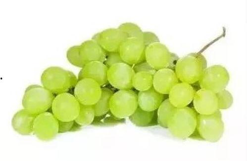 吃瓜不吃葡萄皮  第3张