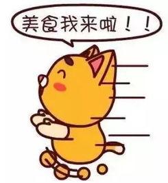 带你吃瓜离职技巧,带你优雅转身 第3张 带你吃瓜离职技巧,带你优雅转身 第3张