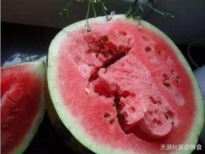 吃瓜圆圈圈,网络热议背后的真相与趣味  第3张