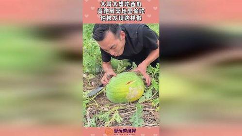 吃瓜被人发现,尴尬瞬间引发网友热议 第2张 吃瓜被人发现,尴尬瞬间引发网友热议 第2张