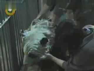 斯文吃瓜搞笑视频大全,搞笑视频大全盘点  第3张