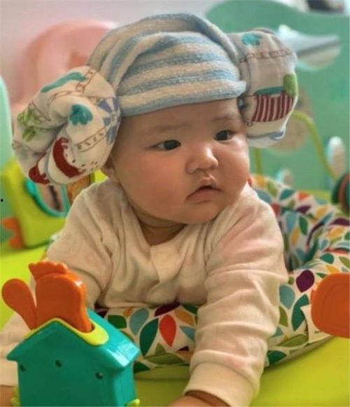 吃瓜小肥妹,揭秘娱乐圈那些不为人知的幕后故事