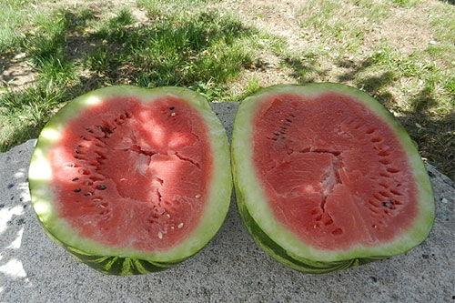 梦见买了半个瓜吃