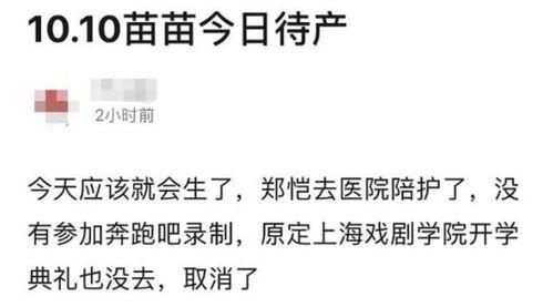 吃瓜爆料苗苗,娱乐圈幕后真相大揭秘  第2张