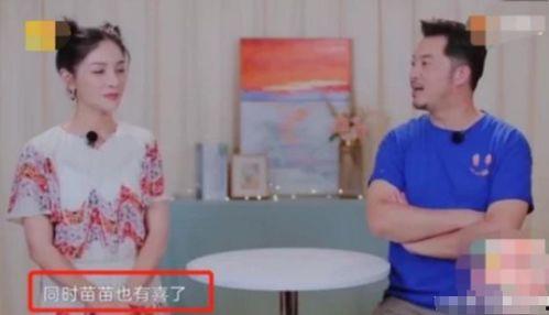 吃瓜爆料苗苗,娱乐圈幕后真相大揭秘  第3张