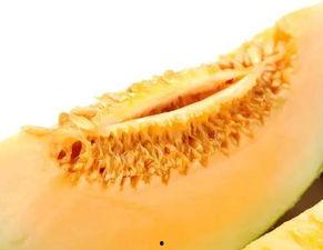 楼兰密瓜怎么吃,解锁美味新境界  第2张