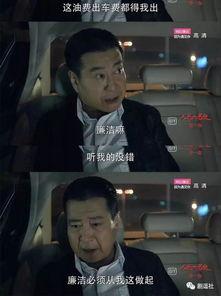 吃瓜高育良,高育良背后的故事与真相