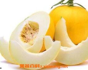 伊丽莎白的瓜怎么吃,伊丽莎白瓜的多样食用指南 第1张 伊丽莎白的瓜怎么吃,伊丽莎白瓜的多样食用指南 第1张