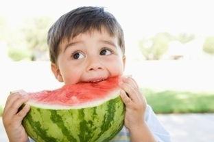 吃瓜避虫必看攻略,轻松享受清凉一夏