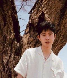 天涯吃瓜视频,揭秘网络热点背后的真相与笑料