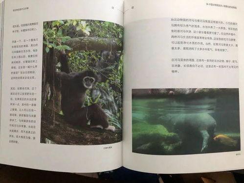 吃瓜型书单,跟随吃瓜群众，畅游明星八卦世界