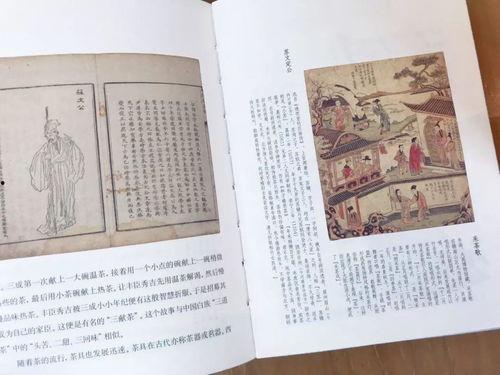 吃瓜型书单,跟随吃瓜群众，畅游明星八卦世界